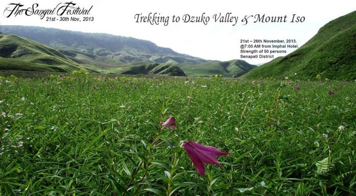 Dzuko Valley & Mount ISO Trekking